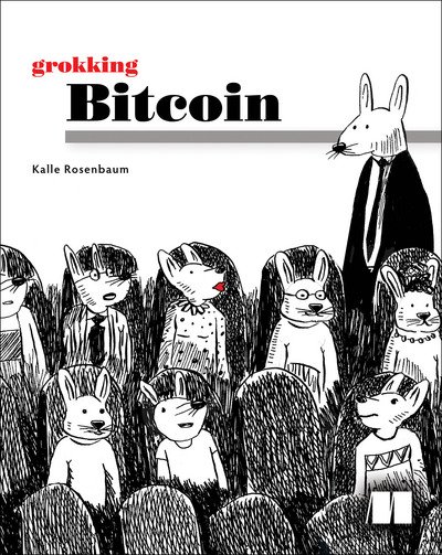 Cover for Kalle Rosenbaum · Grokking Bitcoin (Taschenbuch) (2019)