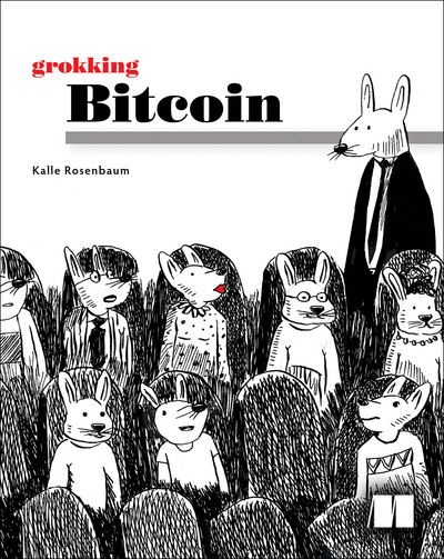 Grokking Bitcoin - Kalle Rosenbaum - Books - Manning Publications - 9781617294648 - May 27, 2019