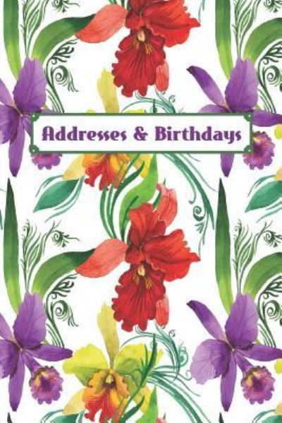 Addresses & Birthdays - Andante Press - Kirjat - Independently Published - 9781794104648 - maanantai 14. tammikuuta 2019