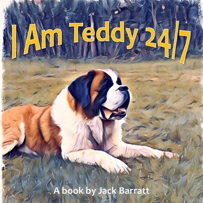 Cover for Jack Barratt · I Am Teddy 24/7 (Paperback Book) (2022)