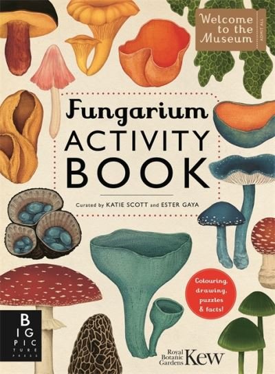 Cover for Ester Gaya · Fungarium Activity Book - Welcome To The Museum (Paperback Book) (2024)