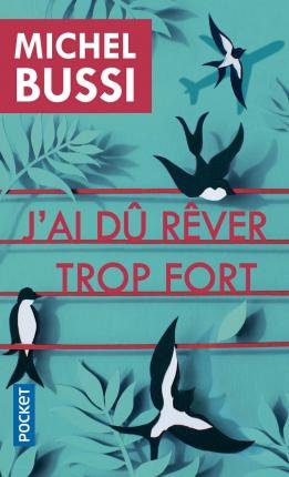 Cover for Michel Bussi · J'ai du rever trop fort (Paperback Book) (2020)