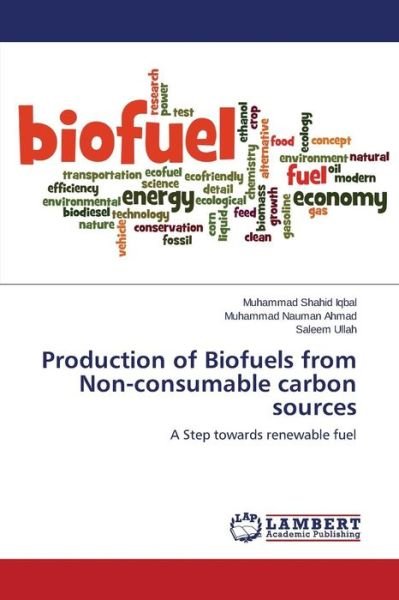 Cover for Iqbal Muhammad Shahid · Production of Biofuels from Non-consumable Carbon Sources (Paperback Bog) (2015)
