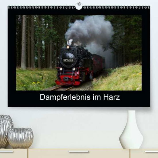 Cover for Maurer · Dampferlebnis im Harz (Premium-K (Book)