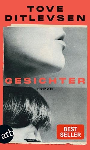 Cover for Tove Ditlevsen · Gesichter (Buch)