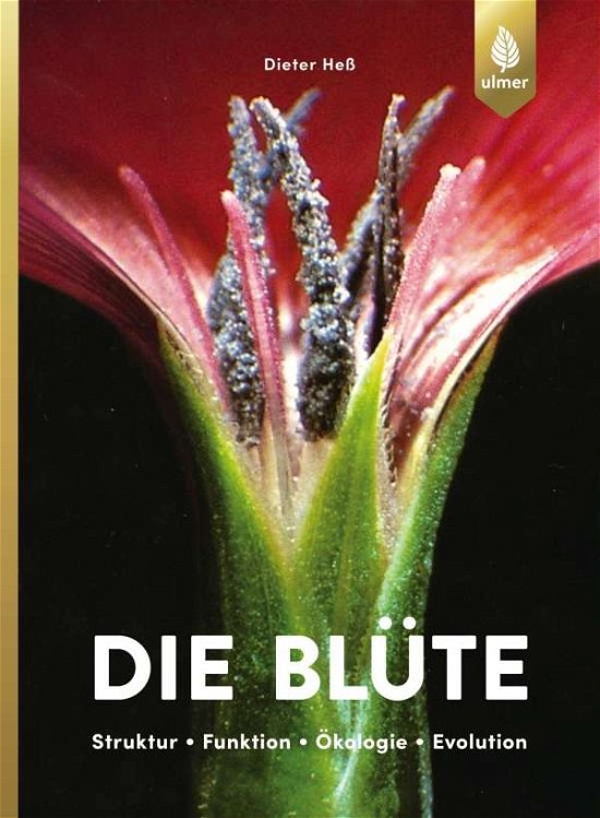 Cover for Heß · Die Blüte (Bok)