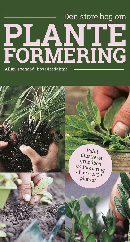 Cover for Allan Toogood · Den store bog om planteformering (Poketbok) [1:a utgåva] (2016)
