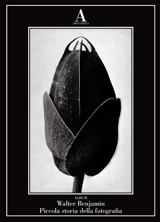 Cover for Walter Benjamin · Piccola Storia Della Fotografia. Ediz. Illustrata (Book)