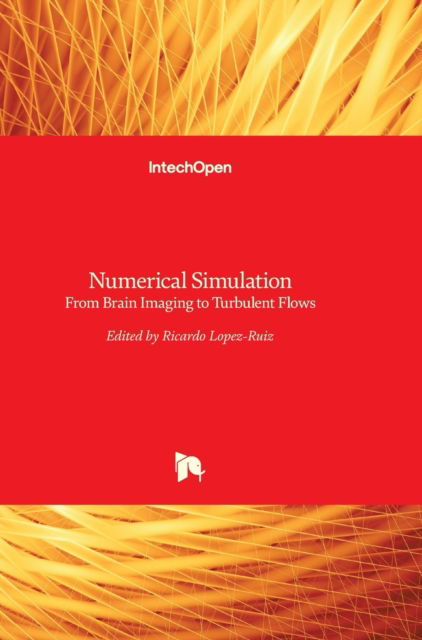 Cover for Ricardo Lopez-Ruiz · Numerical Simulation: From Brain Imaging to Turbulent Flows (Hardcover Book) (2016)