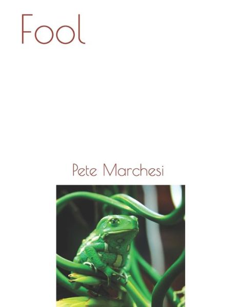 Cover for Pete Marchesi · Fool (Paperback Book) (2020)