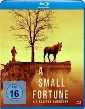 Cover for Adam Perry · A Small Fortune-ein Kleines Vermoegen (Blu-ray) (2023)