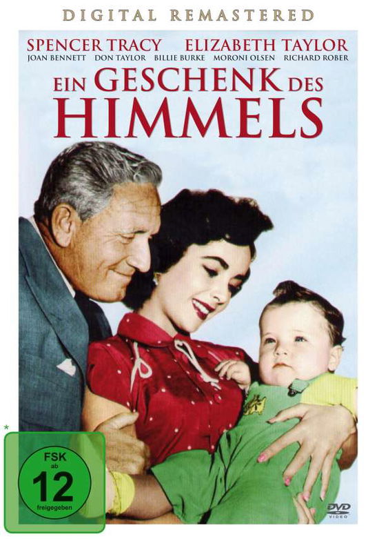 Cover for Elizabeth Taylor · Ein Geschenk des Himmels,DVD.6415864 (DVD) (2015)