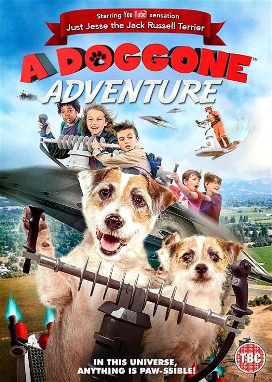 Cover for A Doggone Adventure (DVD) (2020)