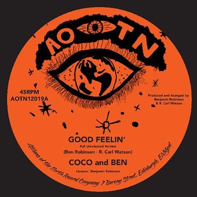 Cover for Coco And Ben · Good Feeling (LP) (2023)
