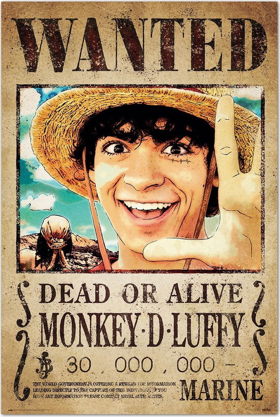 Cover for One Piece Netflix · ONE PIECE NETFLIX - Wanted Luffy - Poster 61 x 91c (Leksaker)