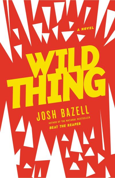 Cover for Josh Bazell · Wild Thing : A Novel (Paperback Book) (2012)