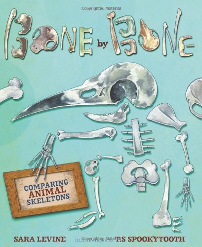 Cover for Sara Levine · Bone by Bone: Comparing Animal Skeletons - Animal by Animal (Hardcover Book) (2013)