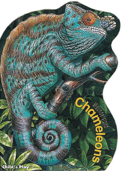 Chameleons - Misunderstood - Sue Baker - Books - Child's Play International Ltd - 9780859535649 - February 1, 2001