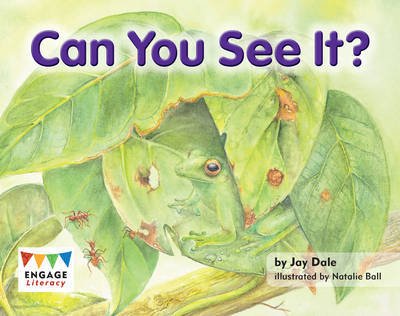 Cover for Jay Dale · Can You See It? - Engage Literacy Yellow (Paperback Book) (2012)