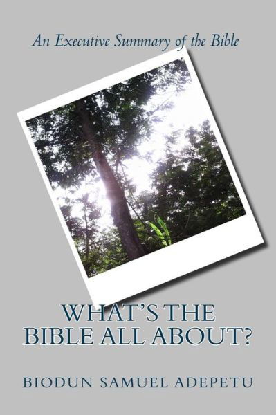 Cover for Biodun Samuel Adepetu · What's the Bible All About? (Paperback Book) (2015)