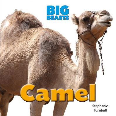 Cover for Stephanie Turnbull · Camel (Big Beasts) (Hardcover Book) (2015)