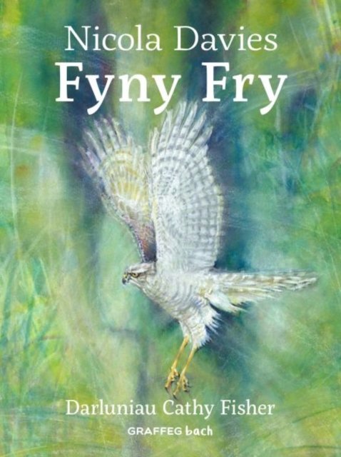 Cover for Nicola Davies · Fyny Fry (Paperback Book) (2023)