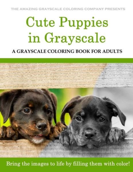 Cover for Dar Payment · Cute Puppies (Paperback Book) (2017)