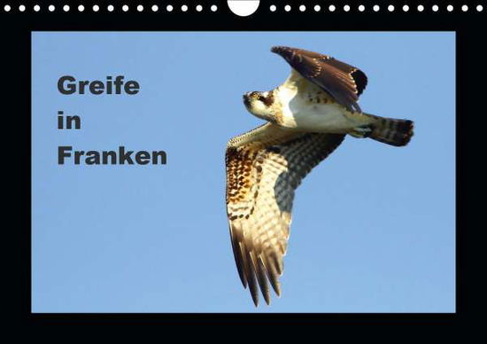 Cover for Bachmeier · Greife in Franken (Wandkalend (Book)