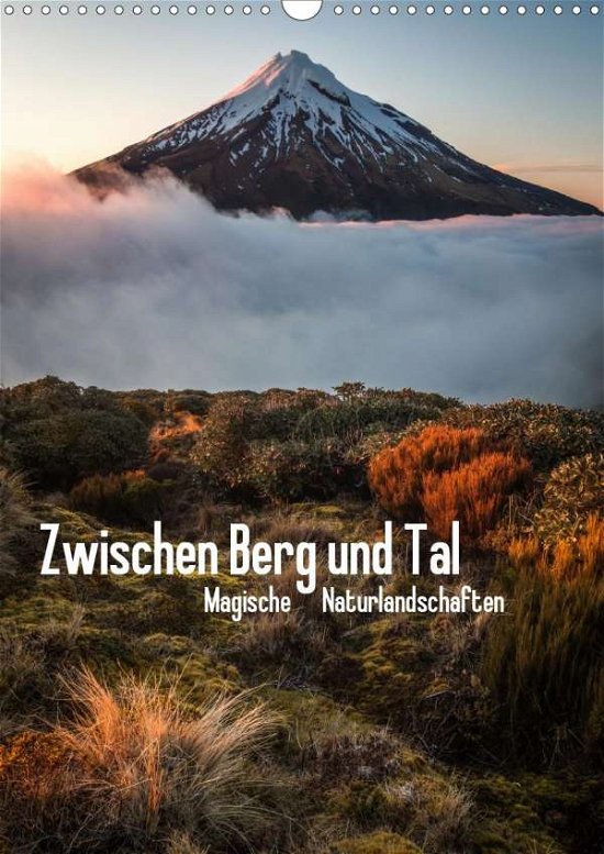 Cover for Schaarschmidt · Zwischen Berg und Tal (Wa (Book)