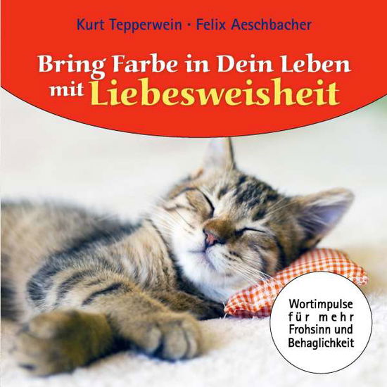 Cover for Aeschbacher · Bring Farbe in dein Leben m (Book)