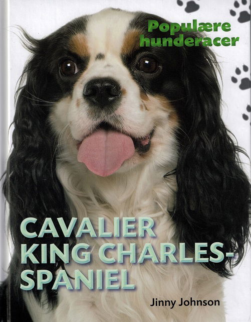 Cover for Jinny Johnson · Populære hunderacer: POPULÆRE HUNDERACER: Cavalier King Charles Spaniel (Bound Book) [1e uitgave] (2017)