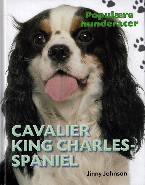 Cover for Jinny Johnson · Populære hunderacer: POPULÆRE HUNDERACER: Cavalier King Charles Spaniel (Indbundet Bog) [1. udgave] (2017)