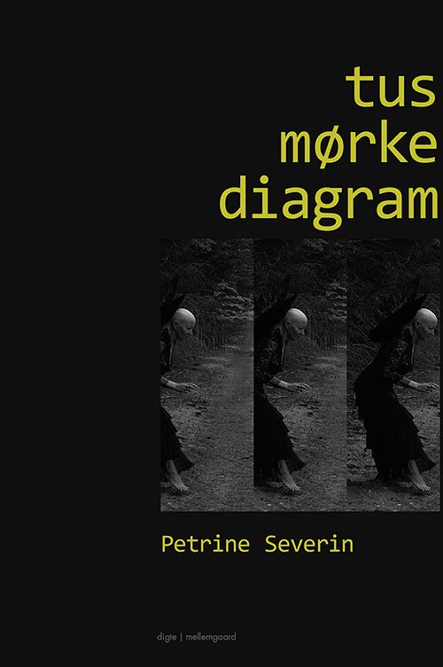 Tusmørkediagram - Petrine Severin - Books - Forlaget mellemgaard - 9788772180649 - October 15, 2018