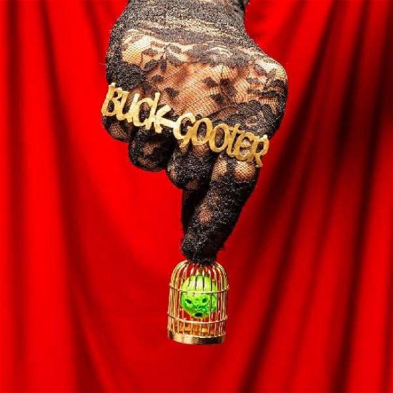 Cover for Buck Gooter · Head In A Bird Cage (LP) (2021)