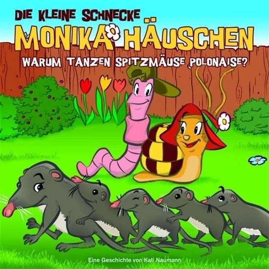 Cover for Die Kleine Schnecke Monika Häuschen · 36: Warum Tanzen Spitzmäuse Polonaise? (CD) (2014)