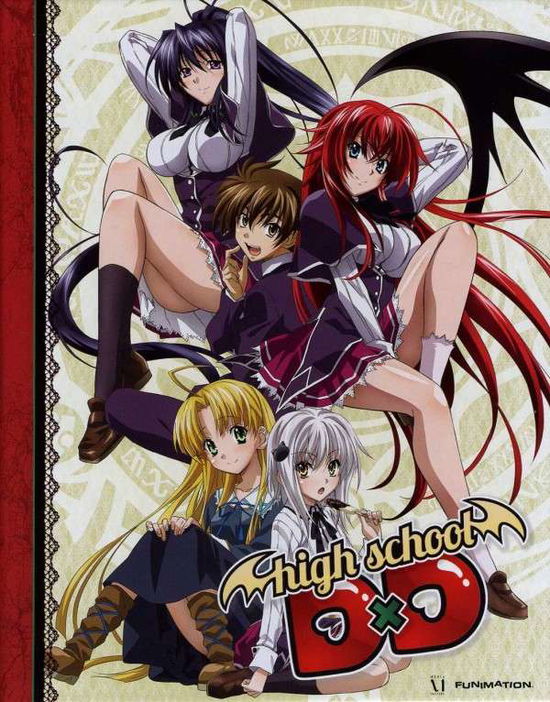 Cover for High School Dxd · High School Dxd: Series (Blu-ray) [Limited edition] (2013)