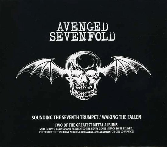 Waking the Fallen / Sounding - Avenged Sevenfold - Musik - SHOCK - 5021456152650 - 19. november 2007