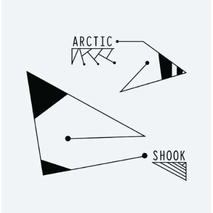 Shook - Arctic - Muziek - COYOTE - 5055300375650 - 24 juni 2013
