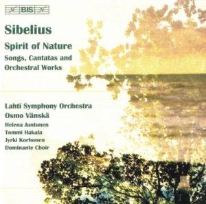 Spirit of Nature - Sibelius / Korhonen / Hakala / Juntunen / Vanska - Muziek - Bis - 7318590015650 - 25 april 2006