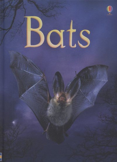 Bats - Beginners - Megan Cullis - Books - Usborne Publishing Ltd - 9780746099650 - August 28, 2009