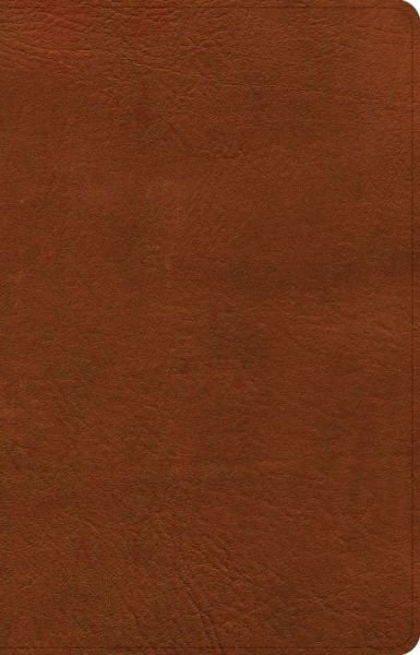 Cover for Holman Bible Publishers · NASB Large Print Personal Size Reference Bible, Burnt Sienna LeatherTouch, Indexed (Imitation Leather Bo) (2022)