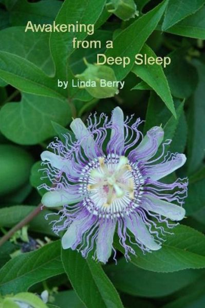 Cover for Linda Berry · Awakening From A Deep Sleep (Paperback Book) (2008)