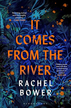 Cover for Rachel Bower · It Comes from the River (Paperback Book) (2025)