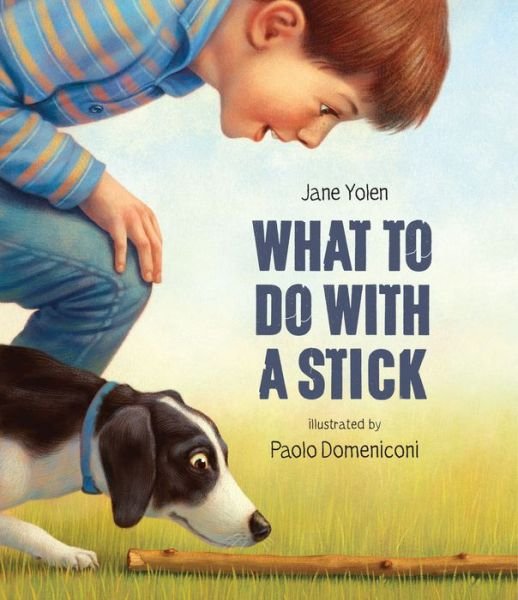 Cover for Jane Yolen · What to Do with a Stick (Bog) (2023)