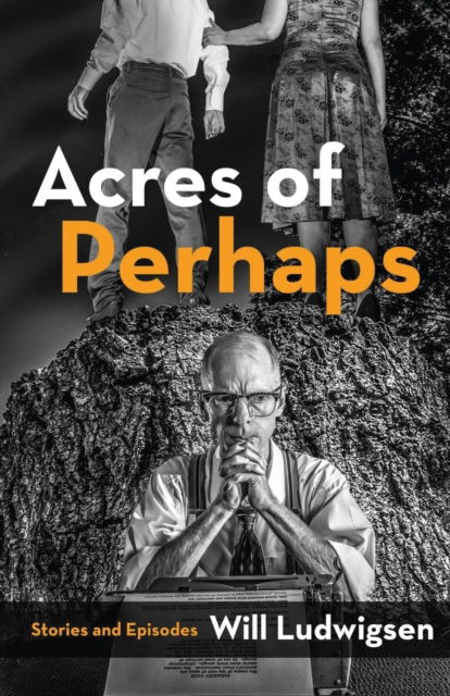 Cover for Will Ludwigsen · Acres of Perhaps: Stories and Episodes (Pocketbok) (2018)