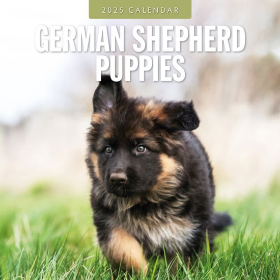 Red Robin · German Shepherd Puppies 2025 Square Wall Calendar (Paperback Book) (2024)