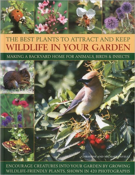 Cover for Christine Lavelle · Best Plants to Attract and Keep Wildlife in the Garden (Paperback Book) (2016)
