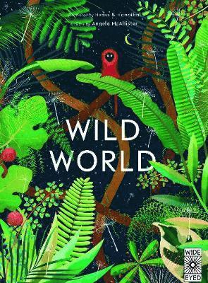 Wild World - Angela McAllister - Książki - Wide Eyed Editions - 9781847809650 - 1 marca 2018