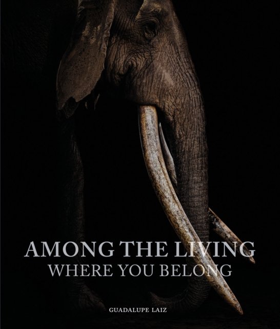 Cover for Guadalupe Laiz · Among the Living: Where You Belong (Hardcover Book) (2023)