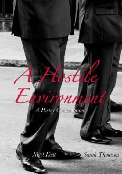 Cover for Nigel Kent · A Hostile Environment - Conversations (Paperback Book) (2019)